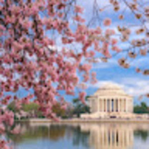 Meet your Posher, Sasha